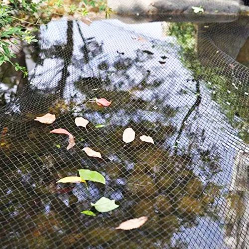Rainleaf 7' x 10' Pond Netting Colossal Koi